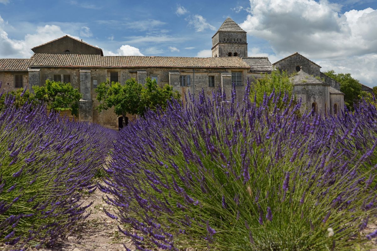 10 Great Reasons To Visit Saint Remy de Provence