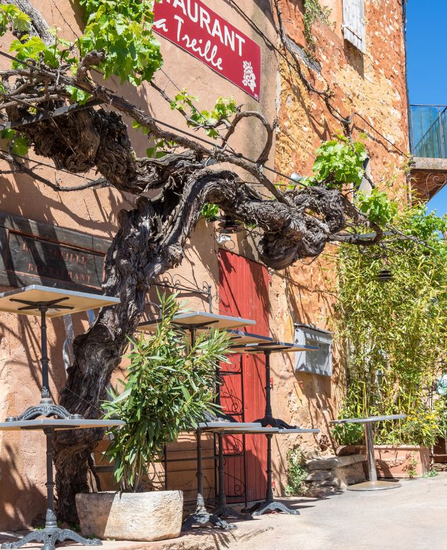 Roussillon_Intro (5)