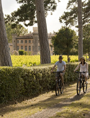 Local Provence Experts