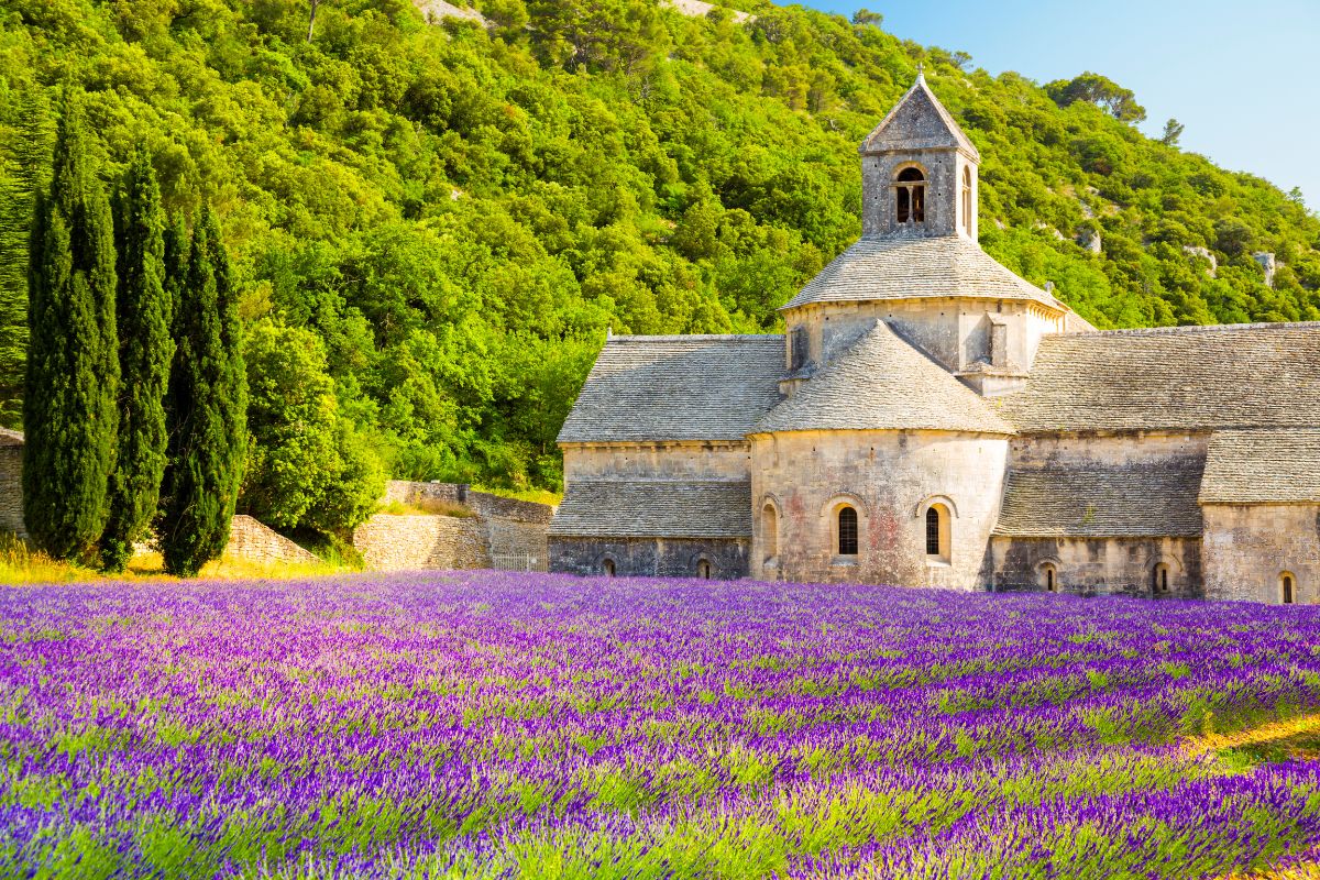 Abbaye Notre-Dame de Sénanque