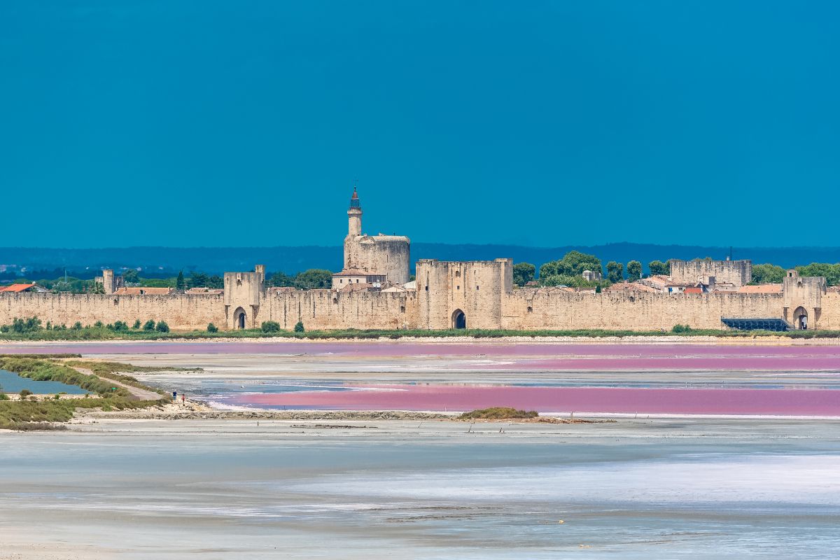 The Camargue