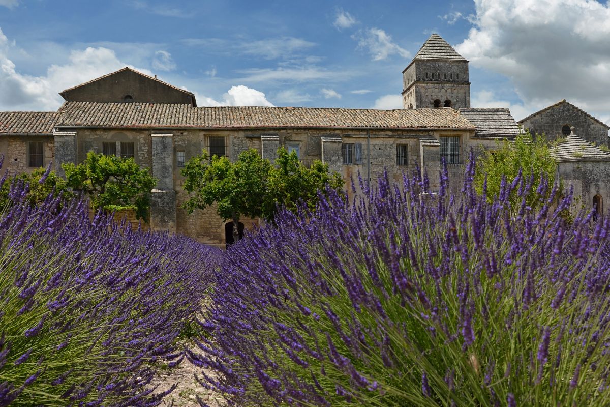 Saint-Remy_VanGogh (4)