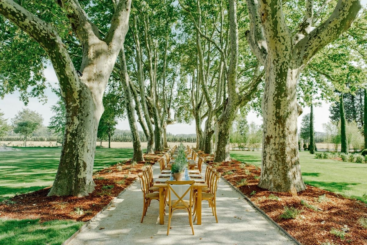 Chateau Avignon 2026 (6)