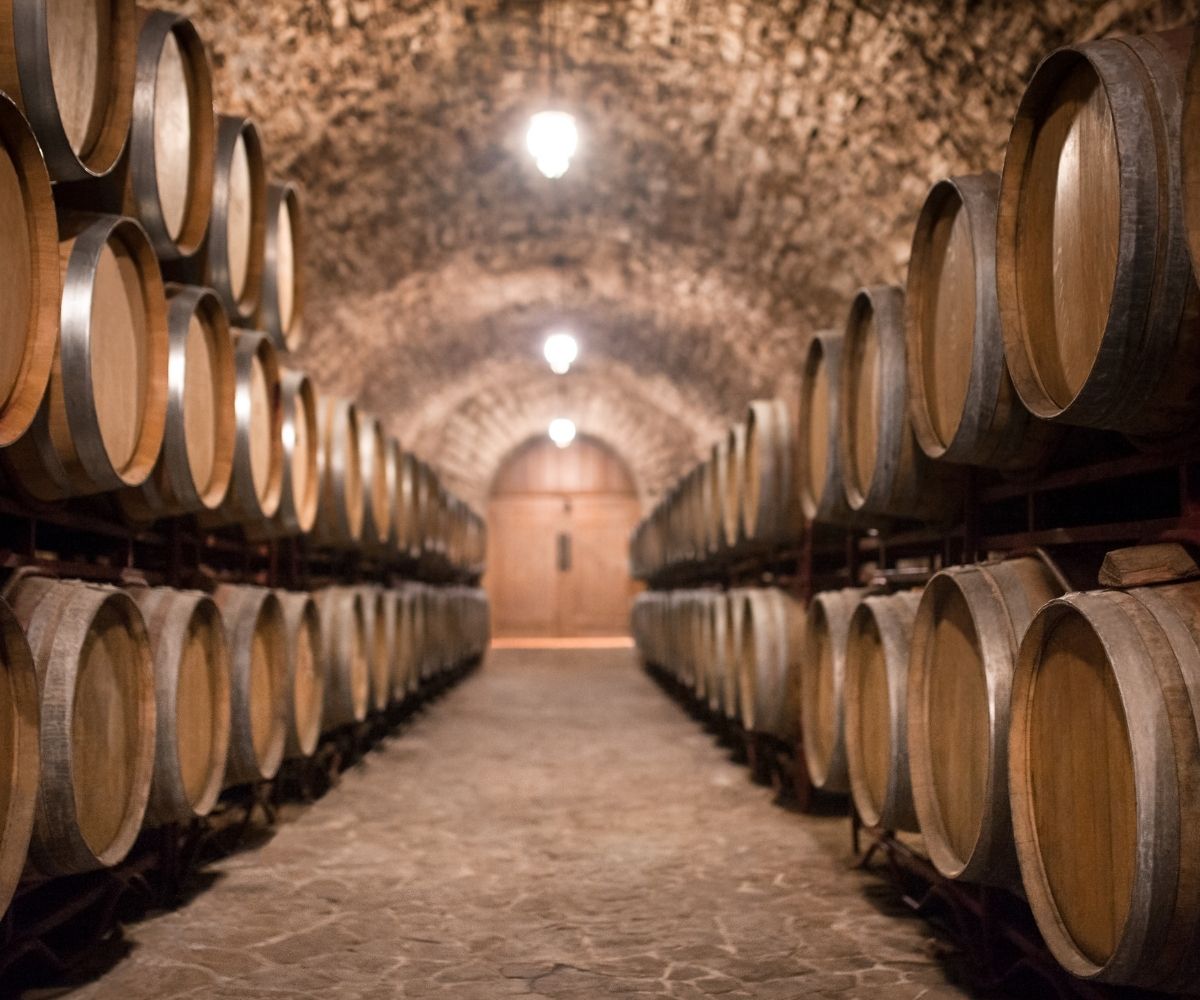 Wine - Guided