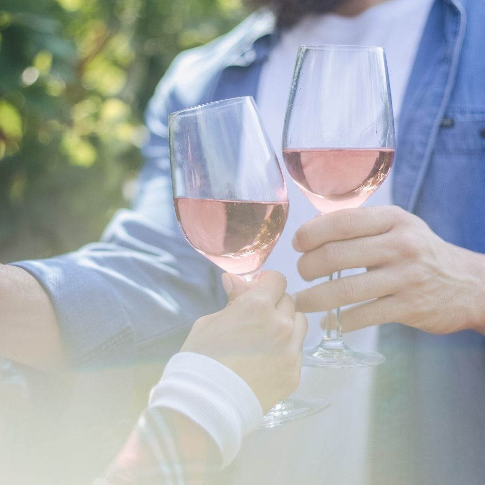 Wine - Guided